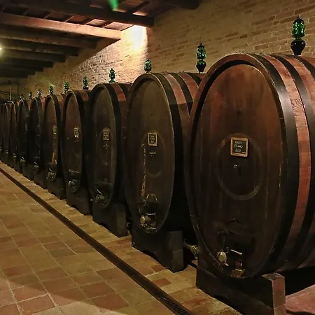 Monteferro *