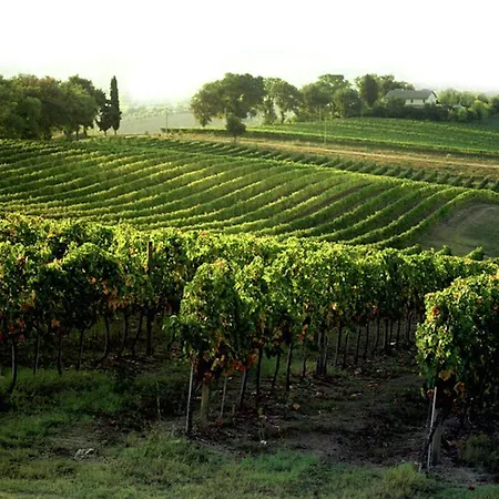 Nyaraló Monteferro Appignano