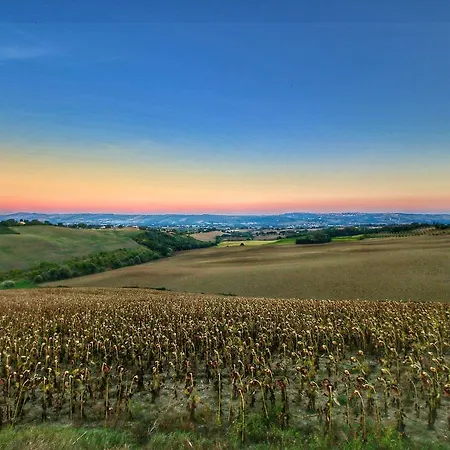 Monteferro *